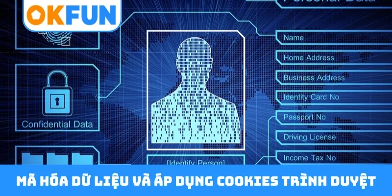 Mã hóa dữ liệu và áp dụng cookies trình duyệt