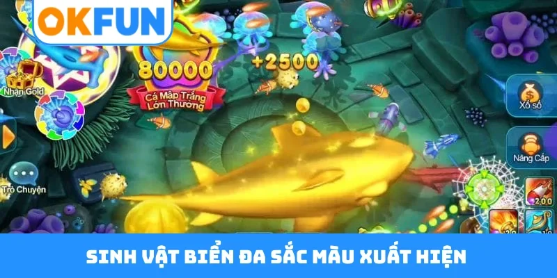 Sinh vật biển đa sắc màu xuất hiện