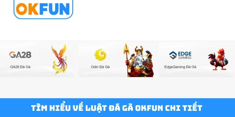 Tìm hiểu về luật đá gà OKFUN chi tiết